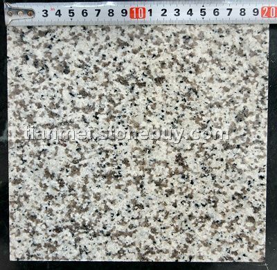 供應優(yōu)質廣東白麻花崗巖石材 - 替代美國白麻與山東白麻的理想選擇