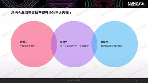 2017中國互聯(lián)網(wǎng)消費生態(tài)大數(shù)據(jù)報告 洞察互聯(lián)網(wǎng)數(shù)據(jù)服務(wù)新趨勢